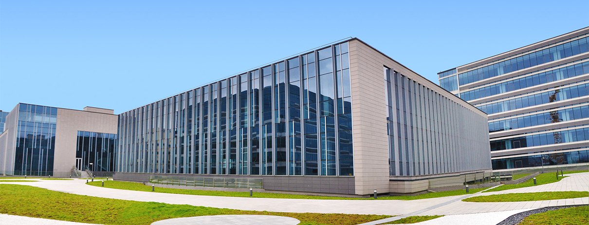 Company Overview